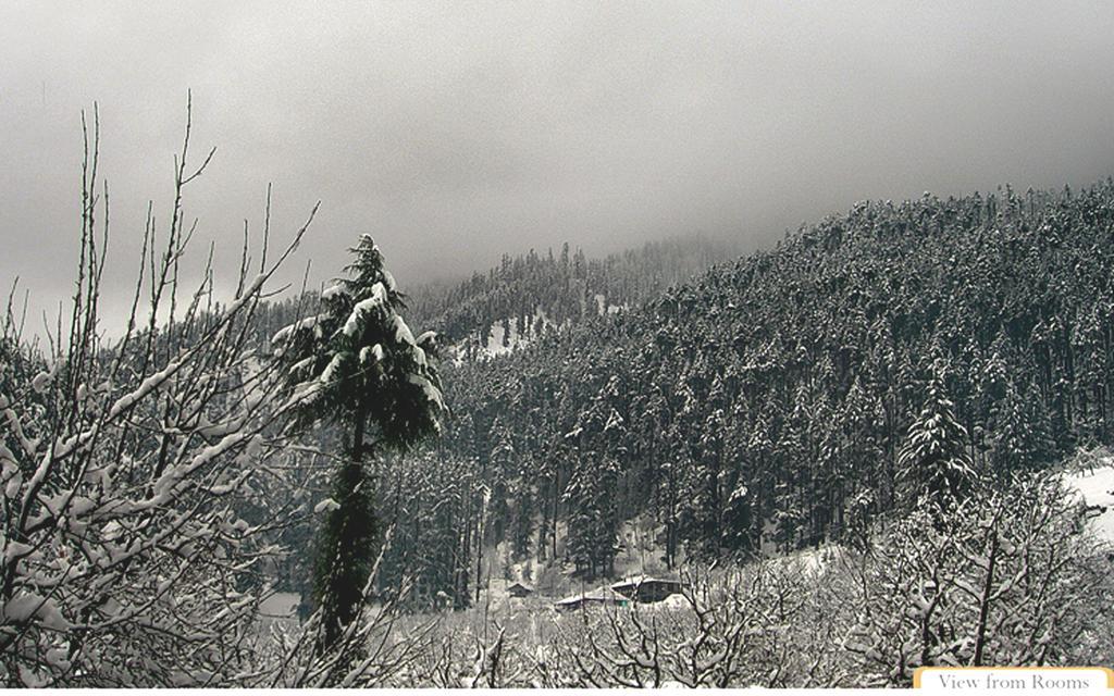 Hotel Manali Heights Buitenkant foto