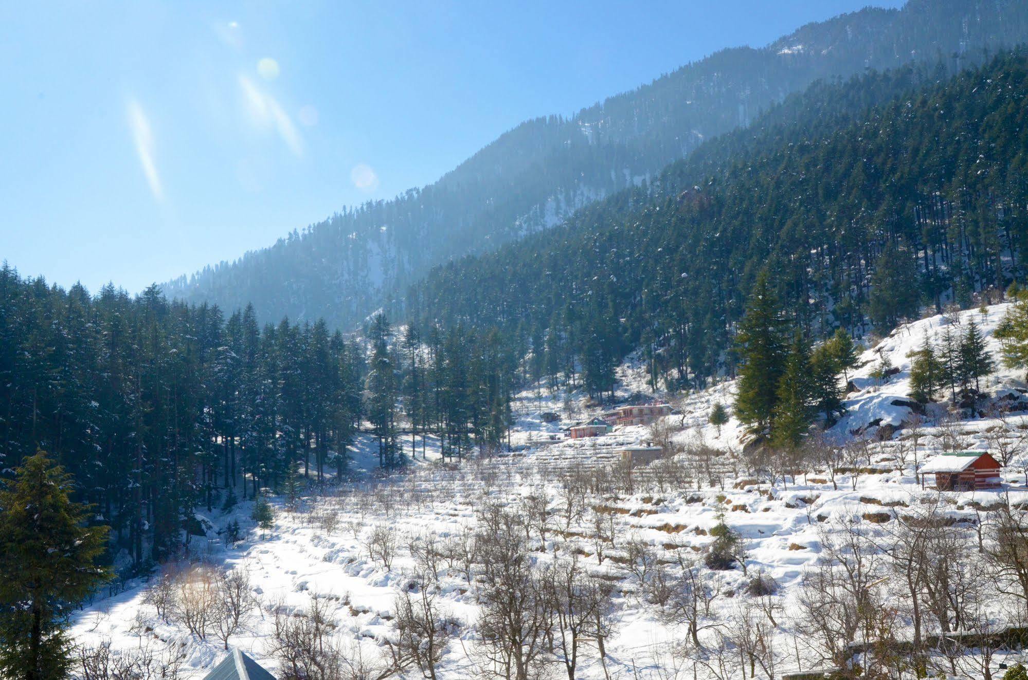 Hotel Manali Heights Buitenkant foto